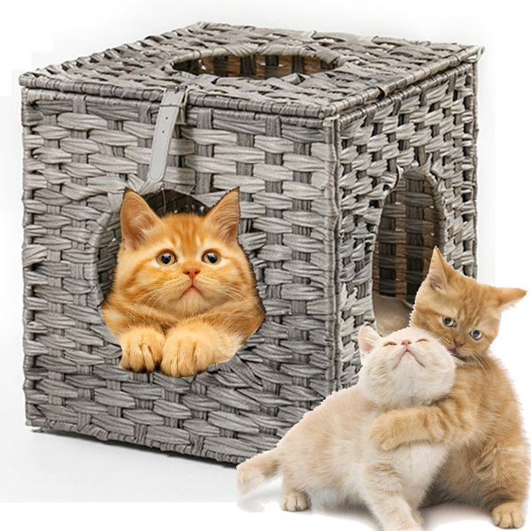 Tucker Murphy Pet™ Square Cat Bed Wayfair